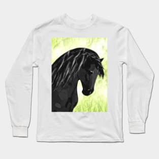 Horse Lovers Pony Stallion Long Sleeve T-Shirt